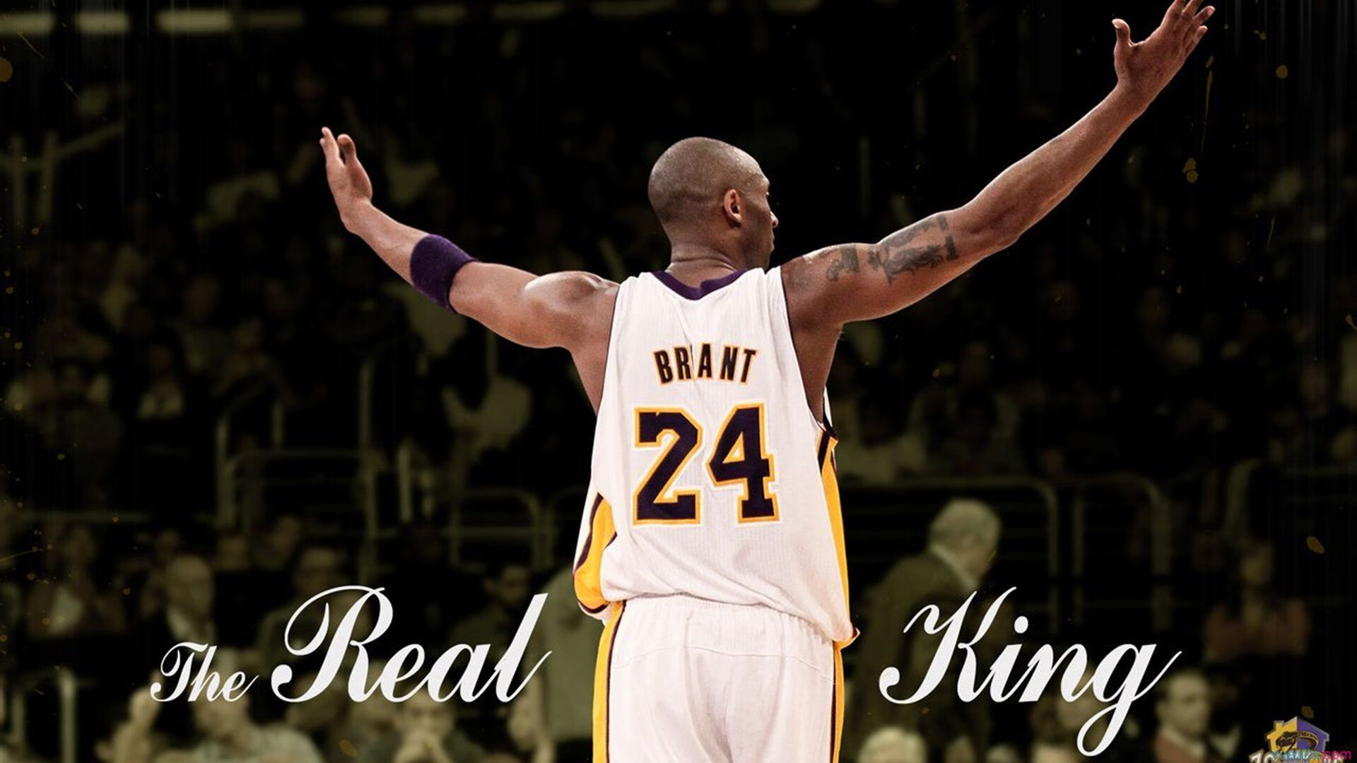 体育焦点赛事全球关注,最全体育赛事直播